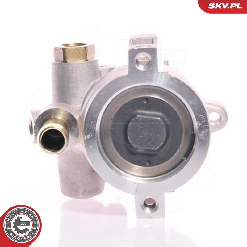 10SKV154 SKV